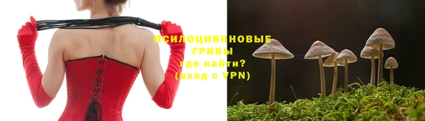 наркотики Белокуриха